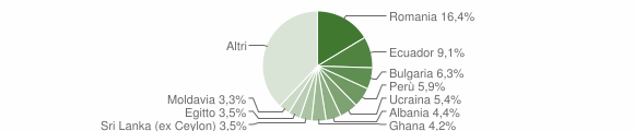 Grafico cittadinanza stranieri - Lesmo 2010