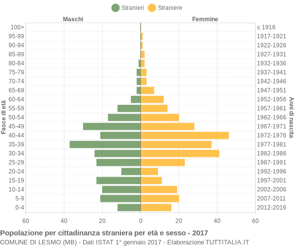 Grafico cittadini stranieri - Lesmo 2017