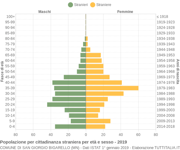 Grafico cittadini stranieri - San Giorgio Bigarello 2019