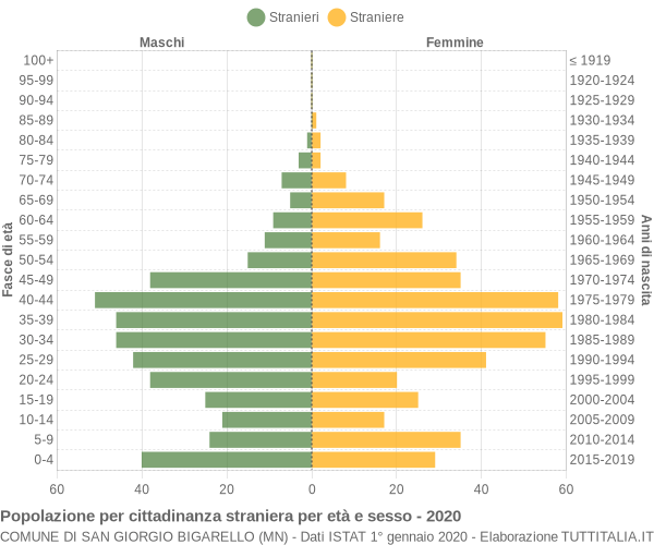 Grafico cittadini stranieri - San Giorgio Bigarello 2020