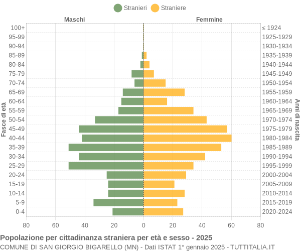Grafico cittadini stranieri - San Giorgio Bigarello 2025