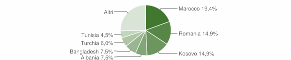 Grafico cittadinanza stranieri - Tresivio 2012