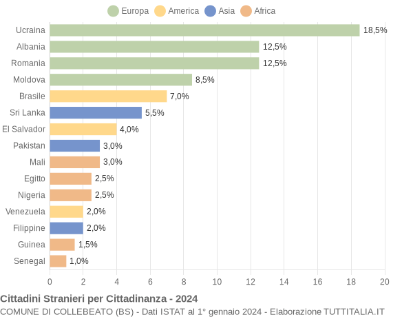 Grafico cittadinanza stranieri - Collebeato 2024