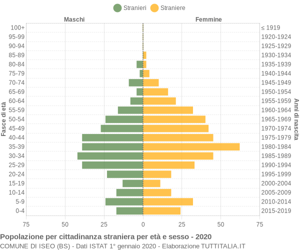 Grafico cittadini stranieri - Iseo 2020