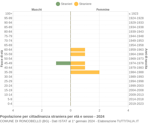 Grafico cittadini stranieri - Roncobello 2024