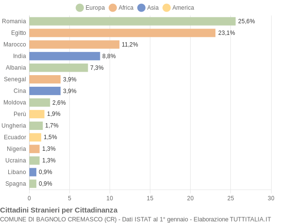 Grafico cittadinanza stranieri - Bagnolo Cremasco 2013