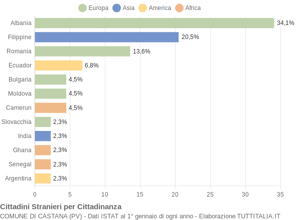 Grafico cittadinanza stranieri - Castana 2008