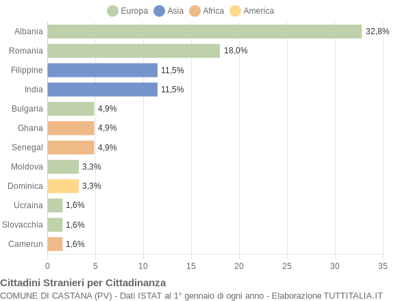 Grafico cittadinanza stranieri - Castana 2013