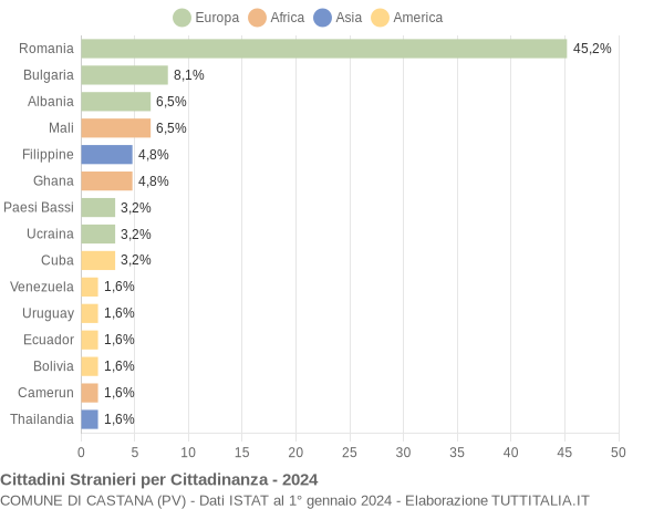 Grafico cittadinanza stranieri - Castana 2024