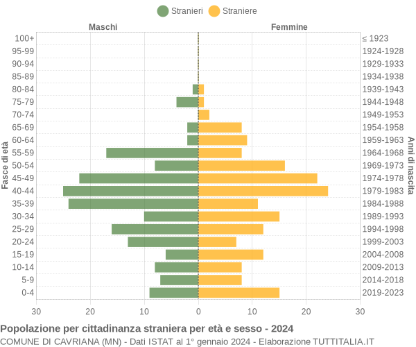 Grafico cittadini stranieri - Cavriana 2024