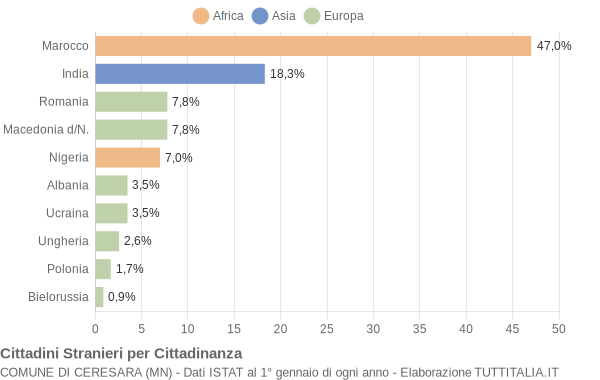 Grafico cittadinanza stranieri - Ceresara 2004