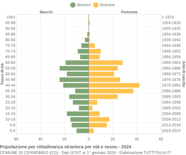 Grafico cittadini stranieri - Cernobbio 2024