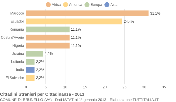 Grafico cittadinanza stranieri - Brunello 2013