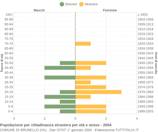 Grafico cittadini stranieri - Brunello 2004