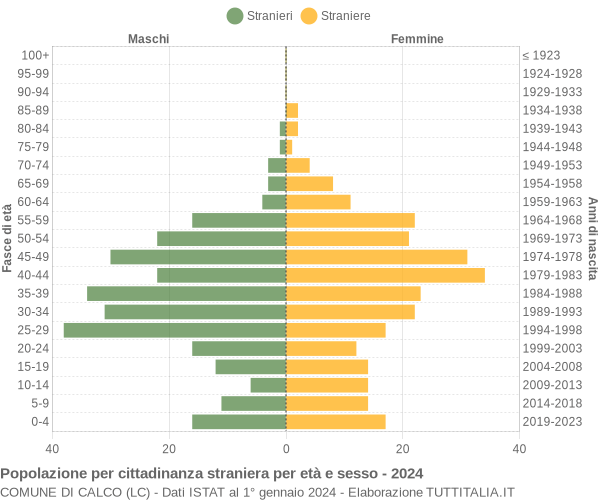 Grafico cittadini stranieri - Calco 2024