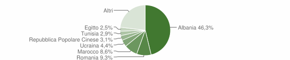 Grafico cittadinanza stranieri - Garlasco 2011