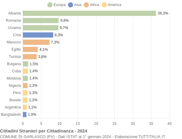 Grafico cittadinanza stranieri - Garlasco 2024