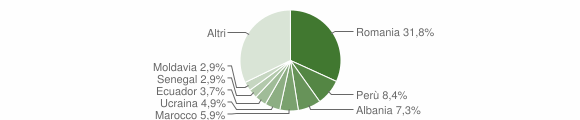 Grafico cittadinanza stranieri - Gessate 2010