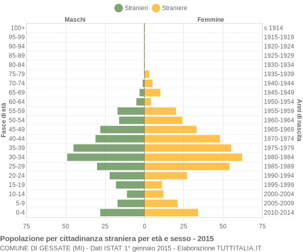 Grafico cittadini stranieri - Gessate 2015