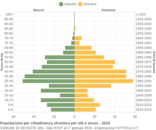 Grafico cittadini stranieri - Gessate 2024