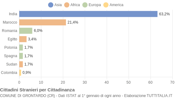 Grafico cittadinanza stranieri - Grontardo 2007