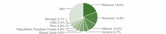 Grafico cittadinanza stranieri - Vergiate 2011