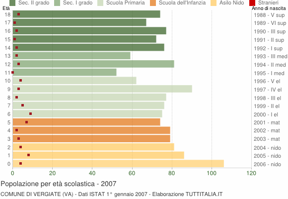 Grafico Popolazione in età scolastica - Vergiate 2007