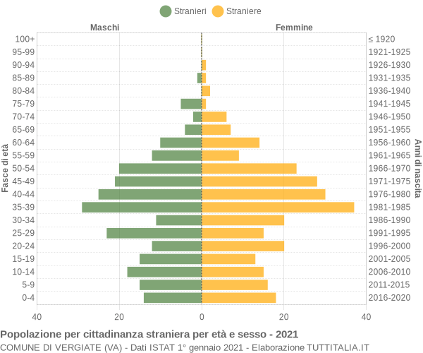 Grafico cittadini stranieri - Vergiate 2021