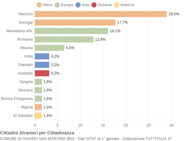 Grafico cittadinanza stranieri - Vigano San Martino 2004