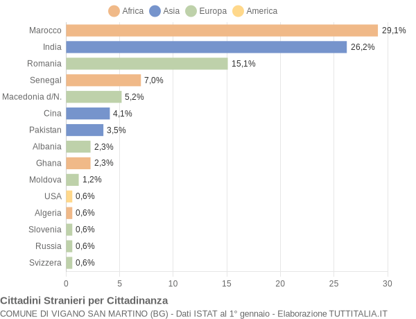 Grafico cittadinanza stranieri - Vigano San Martino 2009