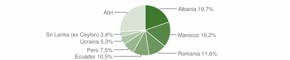 Grafico cittadinanza stranieri - Vimercate 2012