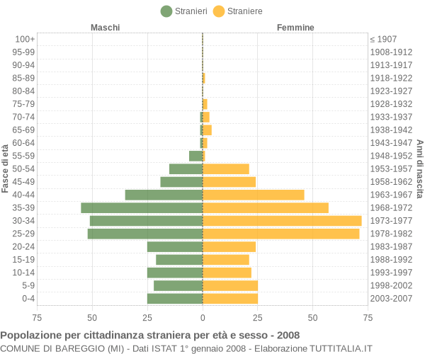 Grafico cittadini stranieri - Bareggio 2008