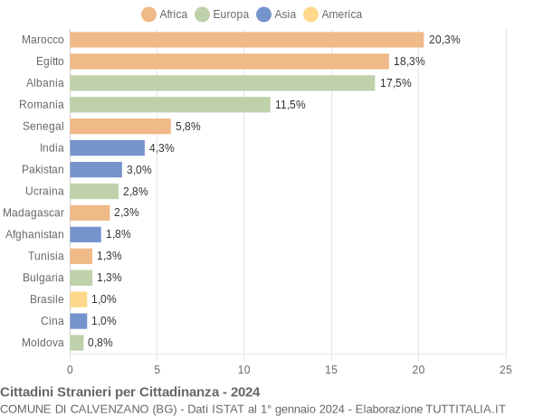 Grafico cittadinanza stranieri - Calvenzano 2024