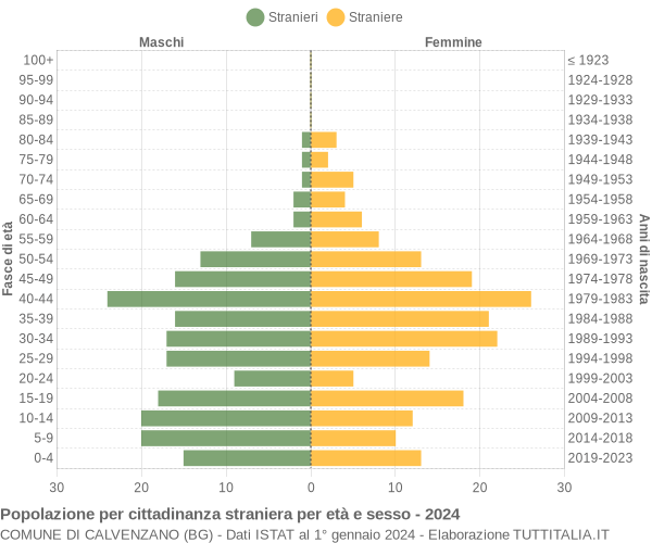 Grafico cittadini stranieri - Calvenzano 2024