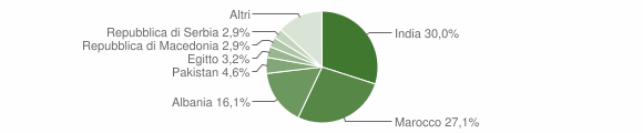 Grafico cittadinanza stranieri - Fiesse 2014