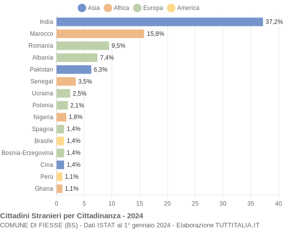 Grafico cittadinanza stranieri - Fiesse 2024