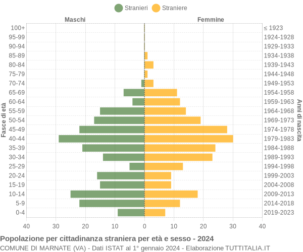 Grafico cittadini stranieri - Marnate 2024