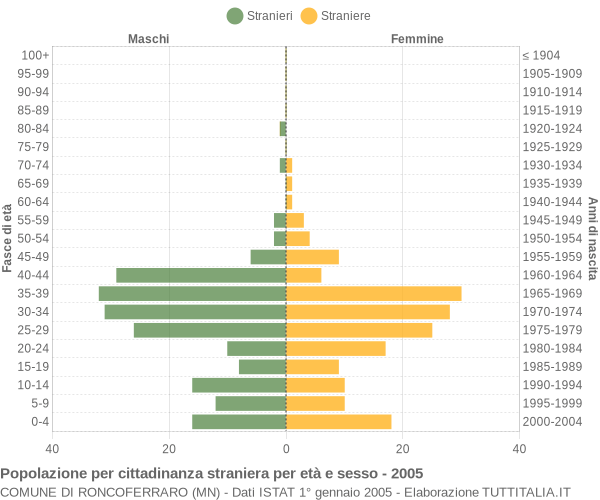 Grafico cittadini stranieri - Roncoferraro 2005