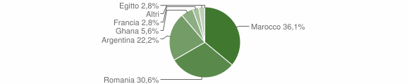 Grafico cittadinanza stranieri - Bedulita 2010