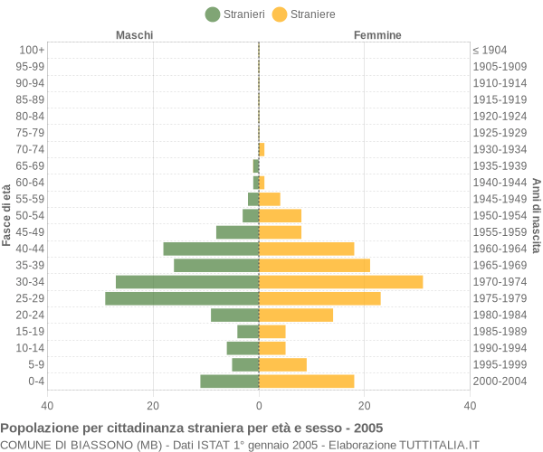 Grafico cittadini stranieri - Biassono 2005