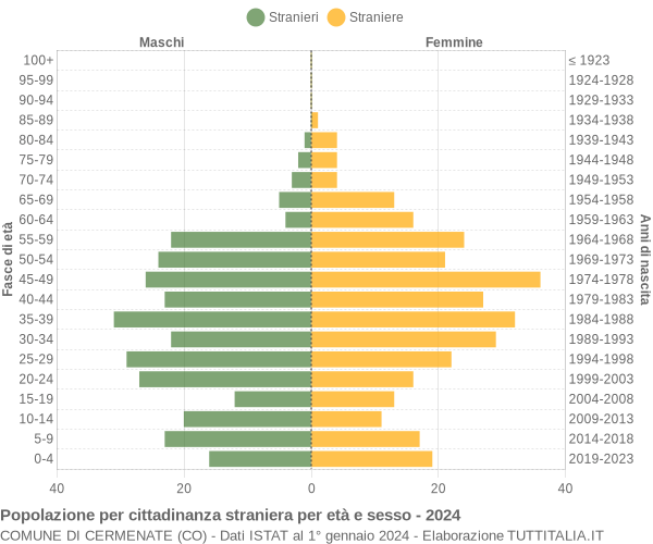 Grafico cittadini stranieri - Cermenate 2024