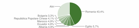 Grafico cittadinanza stranieri - Copiano 2009