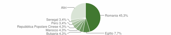 Grafico cittadinanza stranieri - Copiano 2010