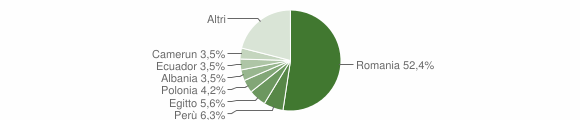 Grafico cittadinanza stranieri - Copiano 2013