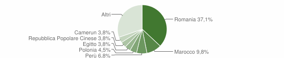 Grafico cittadinanza stranieri - Copiano 2014