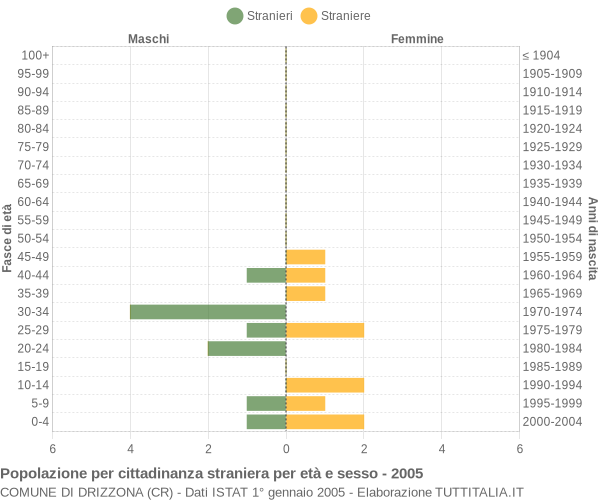 Grafico cittadini stranieri - Drizzona 2005