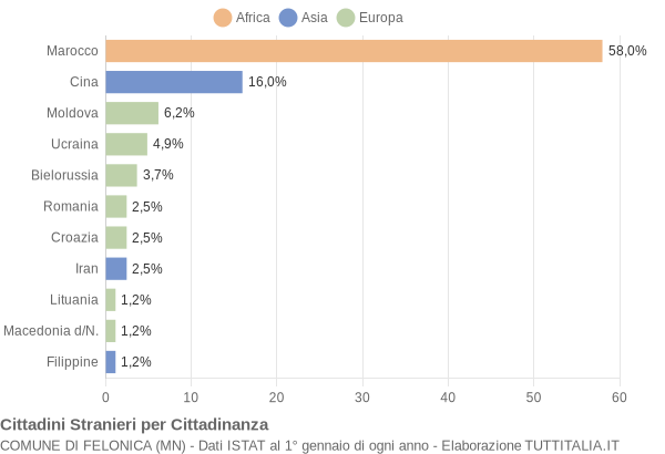 Grafico cittadinanza stranieri - Felonica 2009