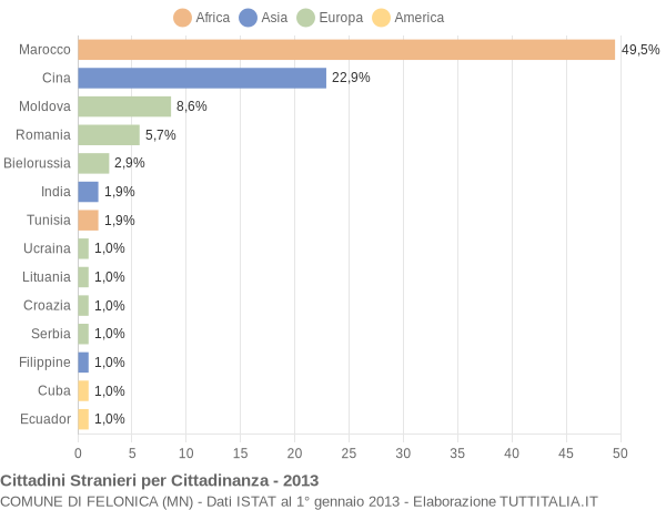 Grafico cittadinanza stranieri - Felonica 2013