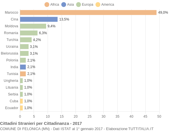 Grafico cittadinanza stranieri - Felonica 2017