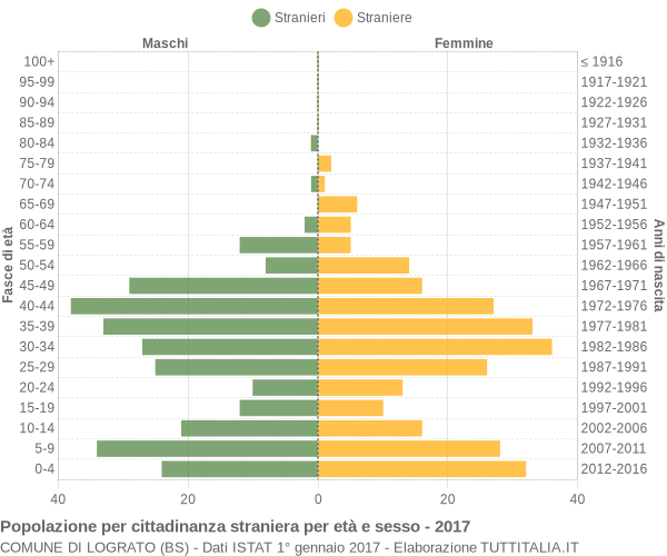 Grafico cittadini stranieri - Lograto 2017